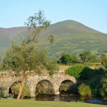 Boluisce